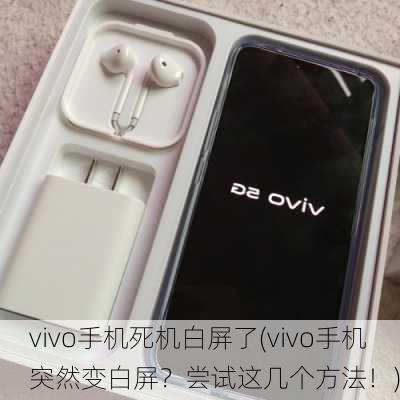 vivo手机死机白屏了(vivo手机突然变白屏？尝试这几个方法！)