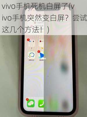 vivo手机死机白屏了(vivo手机突然变白屏？尝试这几个方法！)