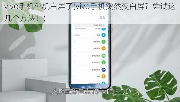 vivo手机死机白屏了(vivo手机突然变白屏？尝试这几个方法！)