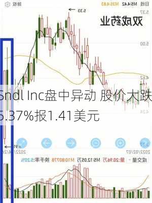 Sndl Inc盘中异动 股价大跌5.37%报1.41美元