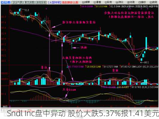 Sndl Inc盘中异动 股价大跌5.37%报1.41美元