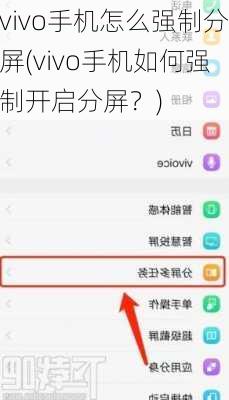 vivo手机怎么强制分屏(vivo手机如何强制开启分屏？)
