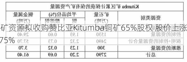 中矿资源拟收购赞比亚Kitumba铜矿65%股权 股价上涨6.75%