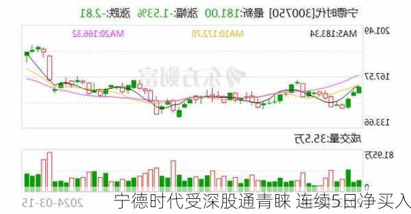 宁德时代受深股通青睐 连续5日净买入