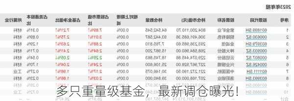 多只重量级基金，最新调仓曝光！