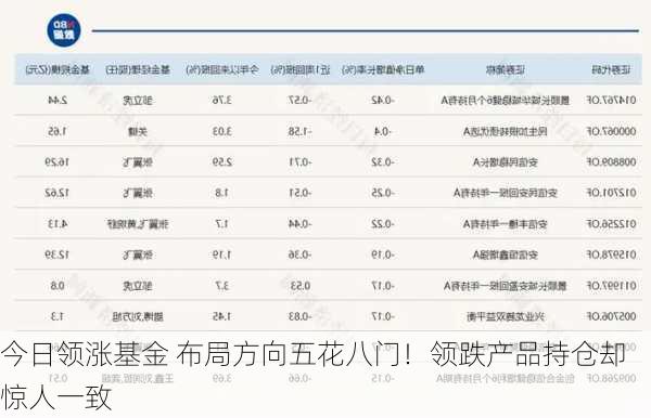 今日领涨基金 布局方向五花八门！领跌产品持仓却惊人一致