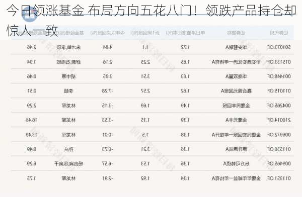 今日领涨基金 布局方向五花八门！领跌产品持仓却惊人一致