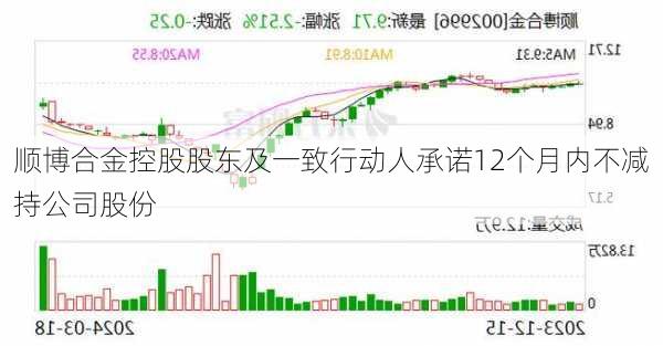 顺博合金控股股东及一致行动人承诺12个月内不减持公司股份