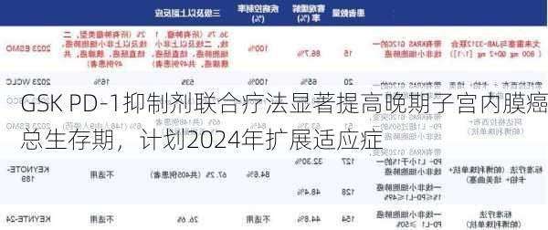 GSK PD-1抑制剂联合疗法显著提高晚期子宫内膜癌总生存期，计划2024年扩展适应症