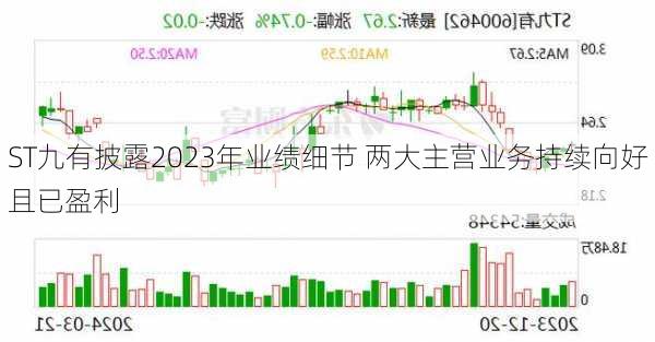 ST九有披露2023年业绩细节 两大主营业务持续向好且已盈利