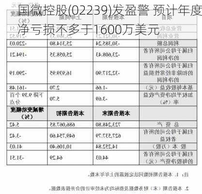 国微控股(02239)发盈警 预计年度净亏损不多于1600万美元