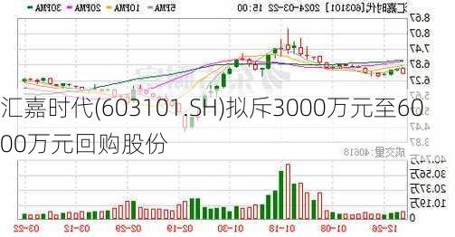 汇嘉时代(603101.SH)拟斥3000万元至6000万元回购股份