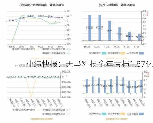 业绩快报：天马科技全年亏损1.87亿