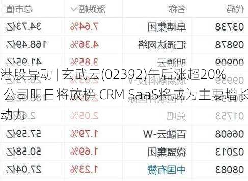 港股异动 | 玄武云(02392)午后涨超20% 公司明日将放榜 CRM SaaS将成为主要增长动力