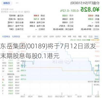 东岳集团(00189)将于7月12日派发末期股息每股0.1港元