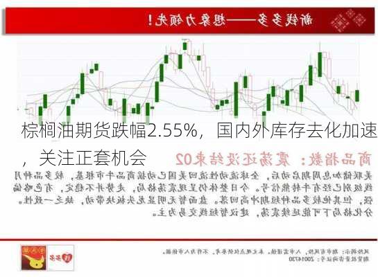 棕榈油期货跌幅2.55%，国内外库存去化加速，关注正套机会