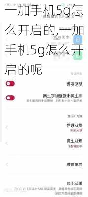 一加手机5g怎么开启的,一加手机5g怎么开启的呢