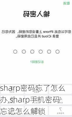 sharp密码忘了怎么办,sharp手机密码忘记怎么解锁