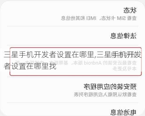 三星手机开发者设置在哪里,三星手机开发者设置在哪里找