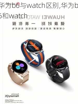 华为b6与watch区别,华为b6和watch