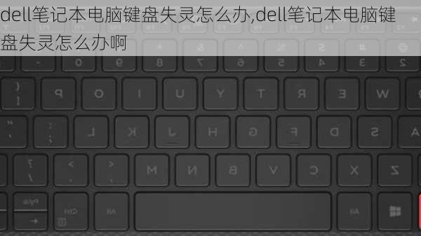 dell笔记本电脑键盘失灵怎么办,dell笔记本电脑键盘失灵怎么办啊