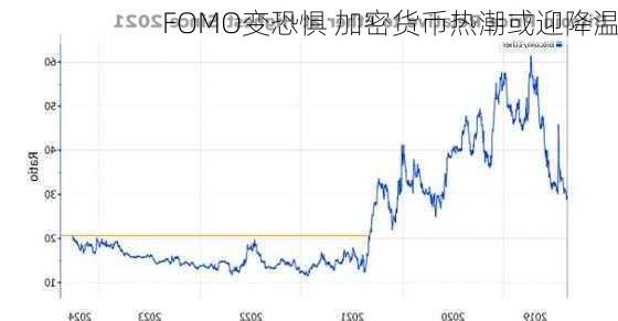 FOMO变恐惧 加密货币热潮或迎降温