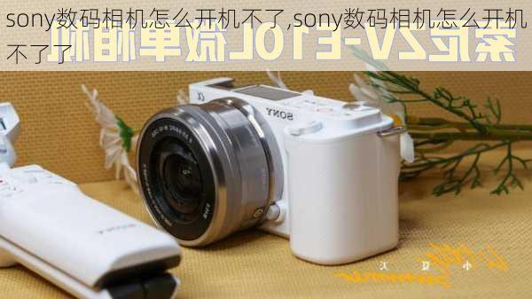 sony数码相机怎么开机不了,sony数码相机怎么开机不了了