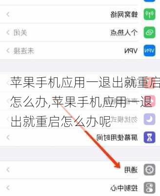 苹果手机应用一退出就重启怎么办,苹果手机应用一退出就重启怎么办呢