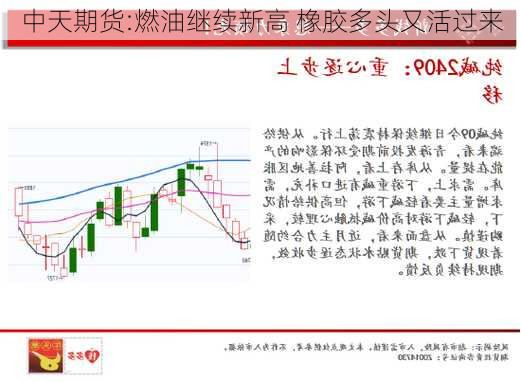 中天期货:燃油继续新高 橡胶多头又活过来