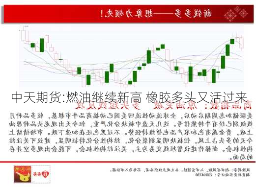 中天期货:燃油继续新高 橡胶多头又活过来