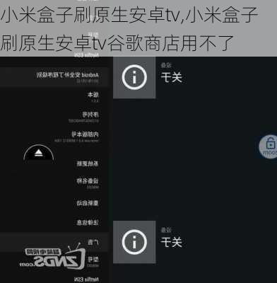 小米盒子刷原生安卓tv,小米盒子刷原生安卓tv谷歌商店用不了