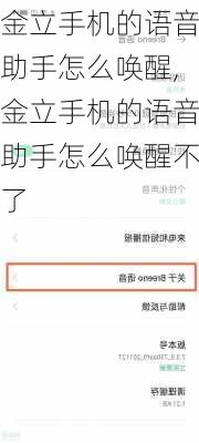 金立手机的语音助手怎么唤醒,金立手机的语音助手怎么唤醒不了