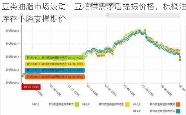 豆类油脂市场波动：豆粕供需矛盾提振价格，棕榈油库存下降支撑期价