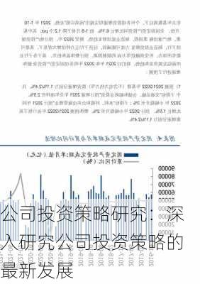 公司投资策略研究：深入研究公司投资策略的最新发展