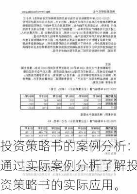 投资策略书的案例分析：通过实际案例分析了解投资策略书的实际应用。