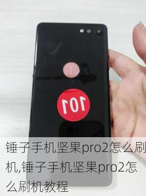 锤子手机坚果pro2怎么刷机,锤子手机坚果pro2怎么刷机教程