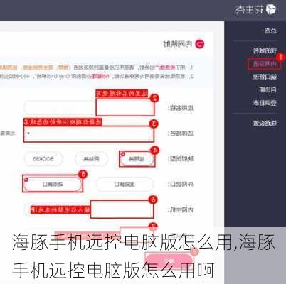 海豚手机远控电脑版怎么用,海豚手机远控电脑版怎么用啊