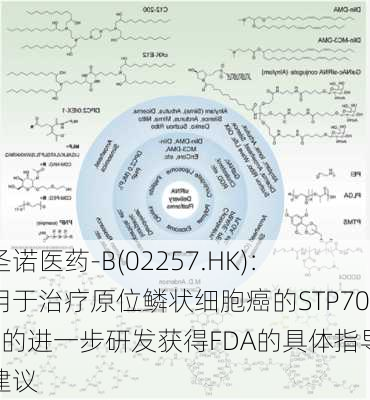 圣诺医药-B(02257.HK)：用于治疗原位鳞状细胞癌的STP705的进一步研发获得FDA的具体指导建议