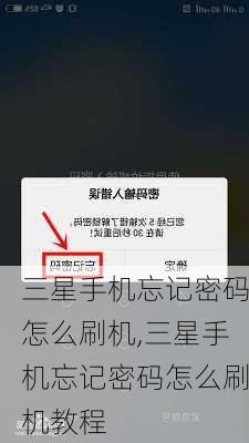 三星手机忘记密码怎么刷机,三星手机忘记密码怎么刷机教程