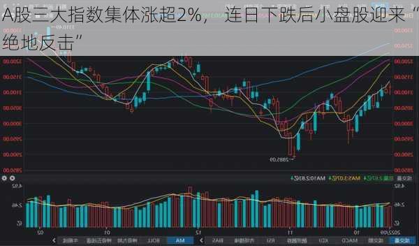 A股三大指数集体涨超2%， 连日下跌后小盘股迎来“绝地反击”