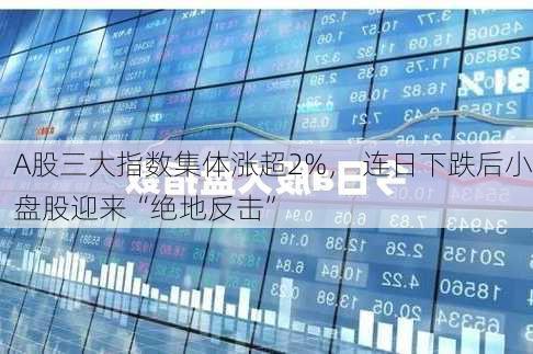 A股三大指数集体涨超2%， 连日下跌后小盘股迎来“绝地反击”