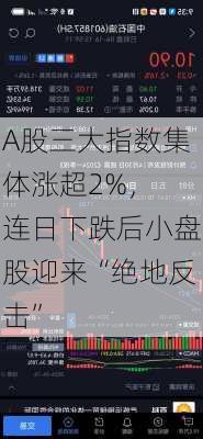 A股三大指数集体涨超2%， 连日下跌后小盘股迎来“绝地反击”