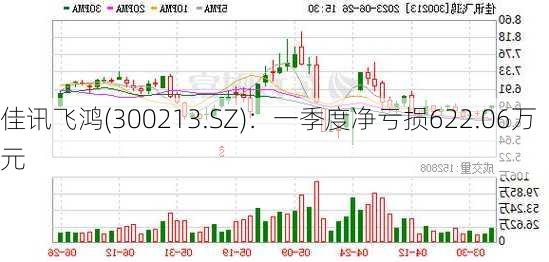 佳讯飞鸿(300213.SZ)：一季度净亏损622.06万元