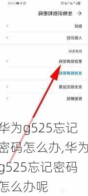 华为g525忘记密码怎么办,华为g525忘记密码怎么办呢