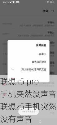 联想k5 pro手机突然没声音,联想z5手机突然没有声音