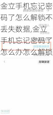 金立手机忘记密码了怎么解锁不丢失数据,金立手机忘记密码了怎么办怎么解锁