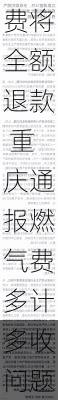 立案调查14件、多收取的燃气费将全额退款 重庆通报燃气费多计多收问题