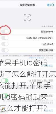 苹果手机id密码锁了怎么能打开怎么能打开,苹果手机id密码锁起来,怎么才能打开?