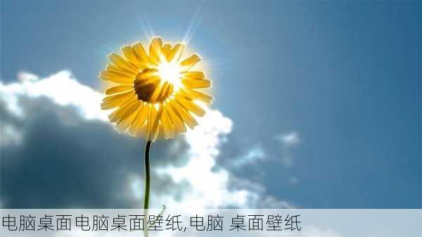 电脑桌面电脑桌面壁纸,电脑 桌面壁纸