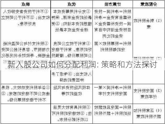 新入股公司如何分配利润: 策略和方法探讨